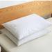 St.James Home Balance Foam Medium Support Pillow Down & Feathers/100% Cotton | 20 H x 28 W in | Wayfair P2018-0235-J