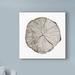 Millwood Pines 'Woodland Years I on White' Graphic Art Print on Wrapped Canvas in Gray/Green | 14 H x 14 W x 2 D in | Wayfair