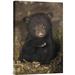 East Urban Home 'Black Bear 7 Week Old Cub' Photographic Print on Canvas in Black/Brown | 18 H x 1.5 D in | Wayfair URBH8247 38406352