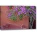 World Menagerie Mexico Bougainvillea Tree next to Wall by Don Paulson - Wrapped Canvas Photograph Print Canvas in Brown/Indigo | Wayfair