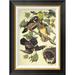 Global Gallery Summer or Wood Duck by John James Audubon - Picture Frame Graphic Art Print on Canvas in Black | 24 H x 18 W x 1.5 D in | Wayfair