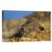 East Urban Home 'Mountain Lion or Cougar Kitten w/ Speckled Coat' Photographic Print on Canvas in Brown | 12 H x 18 W x 1.5 D in | Wayfair