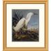 Global Gallery Snowy Heron or White Egret by John James Audubon Framed Painting Print Paper | 26 H x 23.28 W x 1.5 D in | Wayfair DPF-198111-16-102