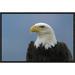 East Urban Home 'Bald Eagle Portrait' Framed Photographic Print on Canvas in Blue/Gray | 12 H x 18 W x 1.5 D in | Wayfair URBH4882 38223901