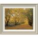 Global Gallery 'Autumn Gold' by Diane Romanello Framed Painting Print Paper in Green/Yellow | 16 H x 20 W x 1.5 D in | Wayfair GCF-129748-1216-336