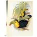 Global Gallery 'Short Billed Toucan' by John Gould Painting Print on Wrapped Canvas in Black/Brown/Yellow | 22 H x 15.46 W x 1.5 D in | Wayfair