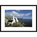 Global Gallery 'White-Capped Albatross Pair Courting, Auckland Island, New Zealand' Framed Photographic Print Paper in Blue | Wayfair