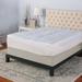 BioPEDIC Memory Cloud 3" Mattress Topper Polyester/Memory Foam | 75 H x 39 W x 3 D in | Wayfair 94115