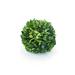 Charlton Home® Preserved Boxwood Topiary | 10 H x 10 W x 10 D in | Wayfair 47A62A2586F842A785FCB6AB117F6A6B