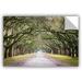 East Urban Home Oak Trees w/ Spanish Moss in Savannah Georgia Removable Wall Decal Vinyl in Black/Gray/Green | 12 H x 18 W in | Wayfair