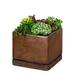 World Menagerie I/O Series 6-Piece Terracotta Pot Planter Set Clay & Terracotta | 4.75 H x 5.25 W x 5.25 D in | Wayfair