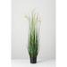 Joss & Main Dogtail Grass in Pot Plastic | 48 H x 12 W x 12 D in | Wayfair B45FF21C92AC4E44BCD2896B4ABD069F