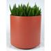 Latitude Run® Junita Plastic Pot Planter in Orange | 27" H x 36" W x 27.75" D | Wayfair 9F2B32DA55A94B189CCB8B15EAEF75F5