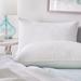 Arsuite Gilkey Hotel Down Blend Medium Support Pillow Down & Feathers/100% Cotton in White | 20 H x 36 W x 5 D in | Wayfair