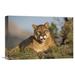 East Urban Home 'Mountain Lion Portrait, North America' Photographic Print on Wrapped Canvas in Brown/Green | 12 H x 18 W x 1.5 D in | Wayfair