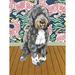 Winston Porter Dog Tales - Winston by Jay McClellan Studio - Wrapped Canvas Painting Print Canvas | 14 H x 10 W x 1.5 D in | Wayfair