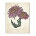 August Grove® 'Botanical Chrysanthemum Flower Pink Yellow' Graphic Art Print Wood in Brown | 10 H x 15 W x 0.5 D in | Wayfair