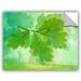 Winston Porter Summer Leaf IV Removable Wall Decal Vinyl in Green | 8 H x 10 W in | Wayfair 6orl278a0810p