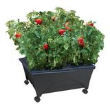 Symple Stuff Warlick City Picker Raised Bed Plastic in Black | Wayfair 3DBB2A882D5E41358C78EDA05933C2D4