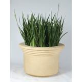 Ophelia & Co. Anso Plastic Pot Planter Fiberglass in Orange/White | 28 H x 36 W x 28 D in | Wayfair 992CDD9D75594637A7312B1182AB5301