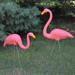 Northlight Seasonal Tropical Flamingo Outdoor Lawn Stakes 33" Resin/Plastic in Pink | 33 H x 17.75 W x 3.75 D in | Wayfair NORTHLIGHT JM28227