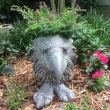 HomeStyles Muggly's American Eagle Mascot Animal Statue Planter Fiberglass/Resin/Plastic/Concrete/Stone in Gray | 13 H x 10 W x 11 D in | Wayfair