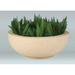 Rosecliff Heights Soundview Plastic Pot Planter Fiberglass in Gray | 14 H x 24 W x 18 D in | Wayfair FDB33F5406904A968F827E2AFEC0794F