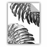 Bay Isle Home™ Glenam Double Philodendron BW Removable Wall Decal Vinyl in Black/White | 10 H x 8 W in | Wayfair 0C32F2C41B8F416491E8163CC88F30AF