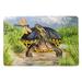 Bayou Breeze Edwardo Dragonfly to Turtle Non-Slip Indoor/Outdoor Door Mat Synthetics | 18" W x 26" L | Wayfair BFE3C0150EAB4336A17C164A26D33DA5