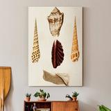 Highland Dunes Knorr Shells VI - Print on Canvas Canvas, Solid Wood in Green/Yellow | 12 H x 8 W x 1 D in | Wayfair