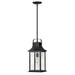 Birch Lane™ Sereia 1 -Bulb 19.75" H Outdoor Hanging Lantern Glass/Aluminium/Metal in Black | 19.75 H x 8.5 W x 8.5 D in | Wayfair