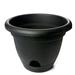 Winston Porter Jazz Self-Watering Plastic Pot Planter in Black | 14 H x 15.25 W x 15.25 D in | Wayfair 4EA01CE87C1D4F21906EE6A8A6284F1B