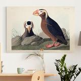 Gracie Oaks 'Pl 249 Tufted Auk' - Wrapped Canvas Print Canvas, Solid Wood in Black/Brown/Gray | 12 H x 8 W x 1 D in | Wayfair