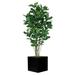 Dalmarko Designs Fiddle Leaf Tree in Planter Metal in Black | 84 H x 24 W x 24 D in | Wayfair dmr534