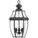 Birch Lane™ Cala 3 -Bulb 19.75" H Outdoor Hanging Lantern Glass/Aluminium/Metal in Black | 19.75 H x 11 W x 11 D in | Wayfair ALTH4312 43208524