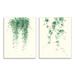 Winston Porter Falling Ivy Vines Nature Minimal Green Watercolor by Danhui Nai - 2 Piece Graphic Art Print Set in Brown | Wayfair