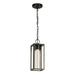 Trent Austin Design® Adelina 1-Bulb Integrated LED Outdoor Pendant Glass/Metal in Black | 14.61 H x 5.39 W x 5.39 D in | Wayfair