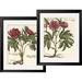 Rosalind Wheeler Giant Peony I & Giant Peony II by Ludwig van Houtte - 2 Piece Picture Frame Painting Print Set on Paper in Green/Red/White | Wayfair