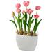 Primrue Tulips Floral Arrangement in Pot Polyester, Size 18.0 H x 9.0 W x 12.0 D in | Wayfair 9C760D9AB14C44FB96C2017A99085FC1