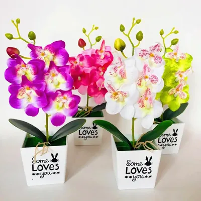 Fleur artificielle orchidée papillon 5 têtes décoration de maison jardin mariage arrangement fleur