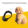 PaiPaitek-Collier de dressage pour chien aste vibration anti-aboiement dispositif d'entraînement