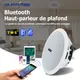 Haut-parleur Bluetooth de plafond étanche 10W 6inch Amplificateur numérique de classe D intégré