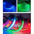 Shoous-Collier LED USB personnalisé pour chien lumière aste pour animaux de compagnie accessoires