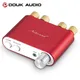 Douk Audio HiFi Mini TPA3116 Amplificateur numérique Bluetooth Amplificateur stéréo Récepteur