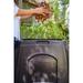 Tumbleweed 240l Composting Bin Plastic | 30 H x 30.5 W x 30.5 D in | Wayfair FP240