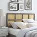 Luana Cane Mid-Century Modern Headboard by Modway Wood in Gray | 51 H x 55.5 W x 1.5 D in | Wayfair MOD-6197-GRY