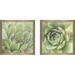 Dakota Fields Garden Succulents I Color by Laura Marshall - 2 Piece Picture Frame Photograph Print Set on in Green | 16.5 H x 33 W x 1 D in | Wayfair