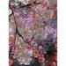 Black/Pink 120 x 84 x 0.35 in Indoor Area Rug - 17 Stories Carnbore Abstract Pink/Red/Black Area Rug Polyester/Wool | Wayfair