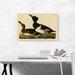 ARTCANVAS Tufted Duck by James Audubon - Wrapped Canvas Painting Print Canvas in Black/Brown/White | 18 H x 26 W x 0.75 D in | Wayfair