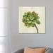 East Urban Home Front Yard Succulent IV by Silvia Vassileva - Painting Print Canvas in Green/White | 26 H x 26 W x 1.5 D in | Wayfair